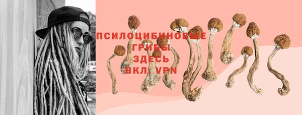 не бодяженный Алзамай