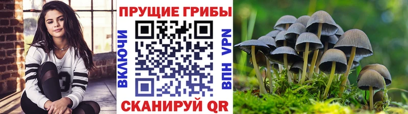 mega ТОР  что такое наркотик  Керчь  Псилоцибиновые грибы MAGIC MUSHROOMS 